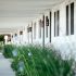 Grasses outside guest rooms