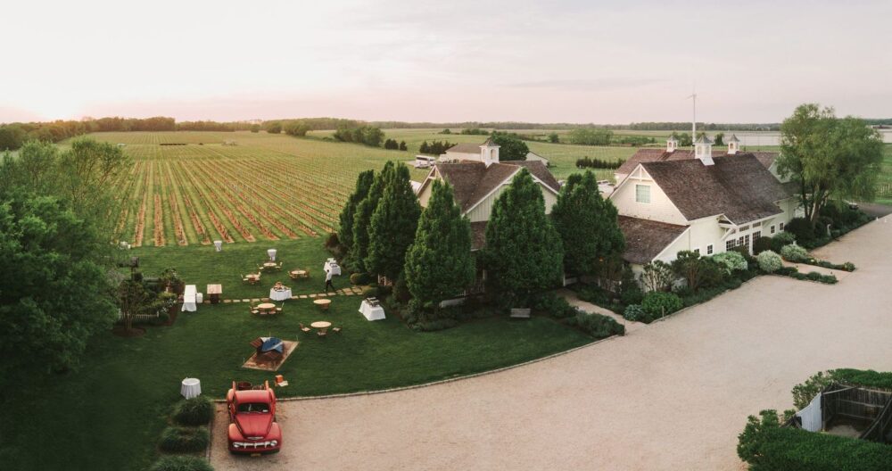Wine grape venue