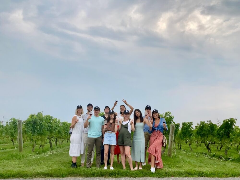 wine vineyard tour group