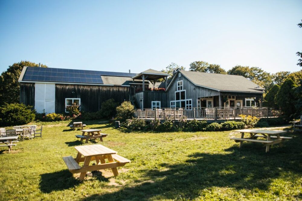 Picnic tables at a vineyard in New York.