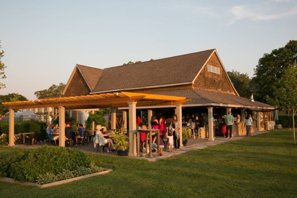 A vineyard in New York.