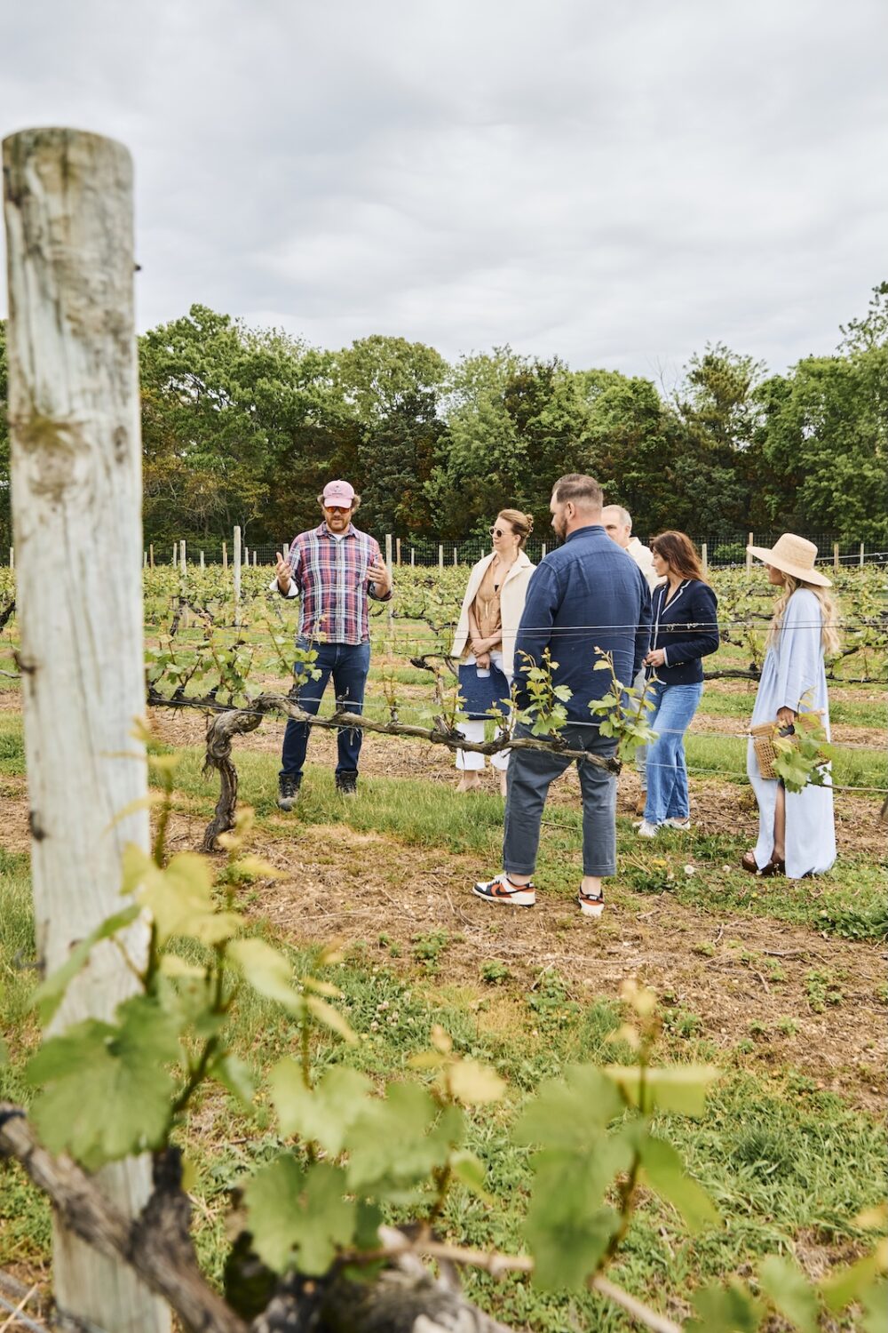 A group touring a vineyard in Greenport, NY.