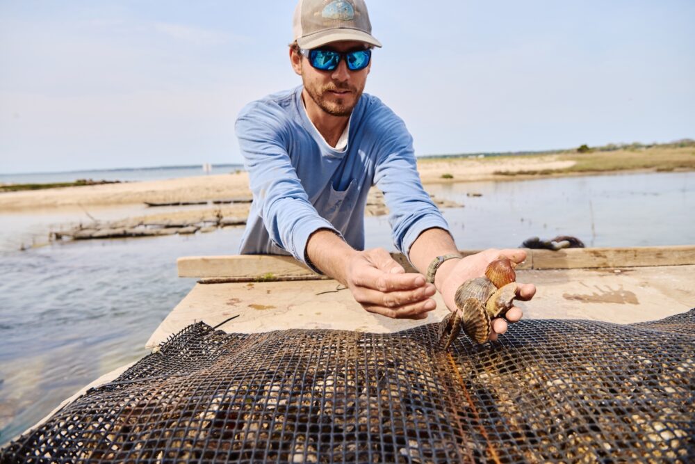 An oyster farmer holding shells.