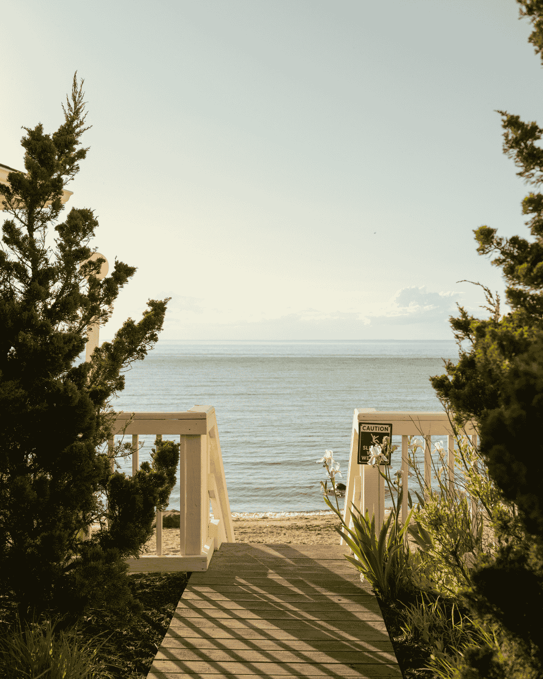 boardwalk overlooking ocean