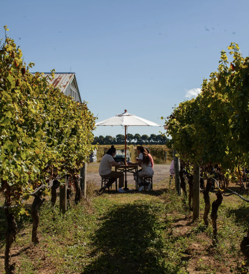 Help Us Harvest 2026